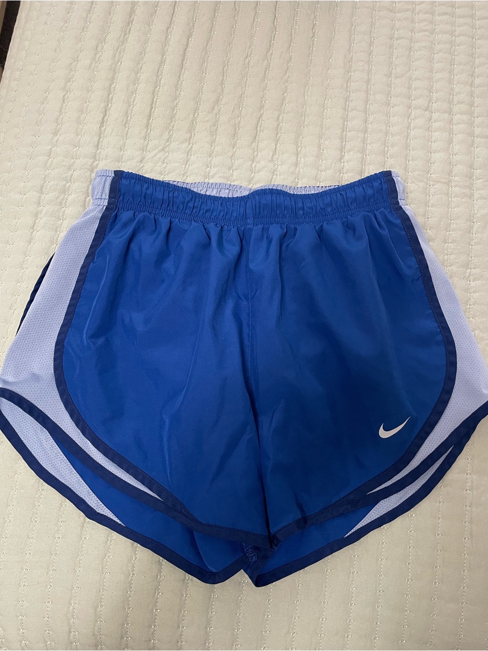Nike Dri-Fit blue shorts